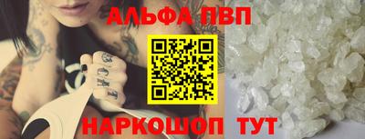 индика Гатчина