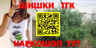 индика Гатчина