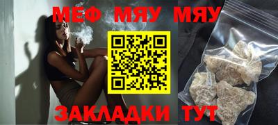 индика Гатчина