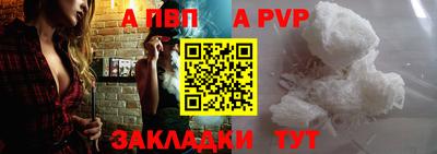 индика Гатчина