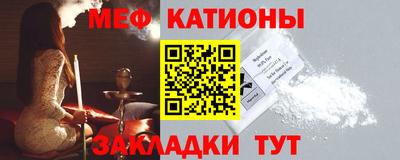 индика Гатчина