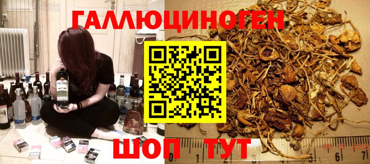 Галлюциногенные грибы Cubensis Кандалакша